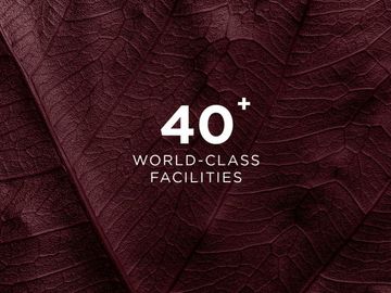Apartemen Elevee Fasilitas Lengkap @Alam Sutera