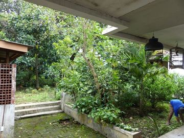Rumah Tanah 1500 m Di KEK Pariwisata & Dekat Tol Trans Jawa