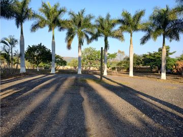 TERRENO EN VENTA A BORDO DE CARRETERA EN PUENTE DE IXTLA