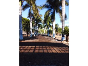 TERRENO EN VENTA A BORDO DE CARRETERA EN PUENTE DE IXTLA