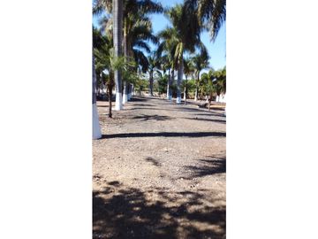 TERRENO EN VENTA A BORDO DE CARRETERA EN PUENTE DE IXTLA