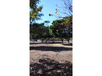 TERRENO EN VENTA A BORDO DE CARRETERA EN PUENTE DE IXTLA