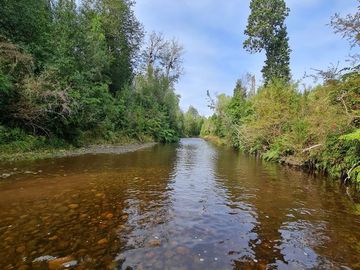 Parcela en venta sector Aguas Buenas en Ancud - Chiloe