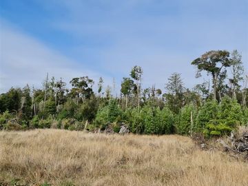 Parcela en venta sector Aguas Buenas en Ancud - Chiloe