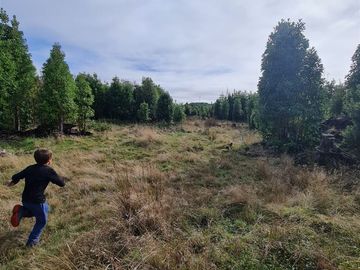 Parcela en venta sector Aguas Buenas en Ancud - Chiloe