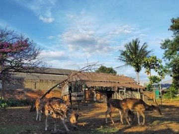 Rumah Masa Pensiun di Bogor, Dikelilingi 3 Pesantren