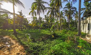 TITLED LOT - CATANGNAN, GENERAL LUNA, SIARGAO ISLAND