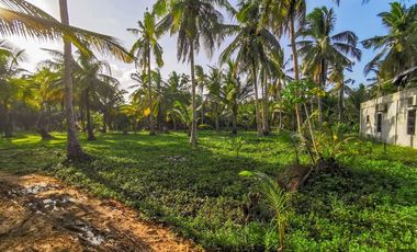 TITLED LOT - CATANGNAN, GENERAL LUNA, SIARGAO ISLAND