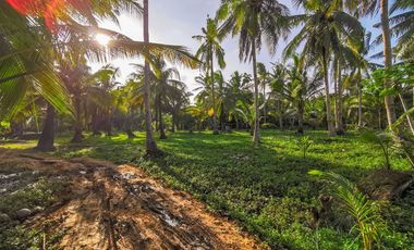 TITLED LOT - CATANGNAN, GENERAL LUNA, SIARGAO ISLAND