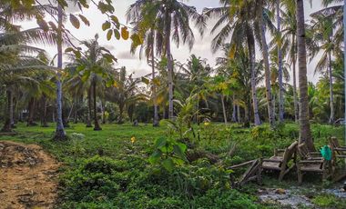 TITLED LOT - CATANGNAN, GENERAL LUNA, SIARGAO ISLAND