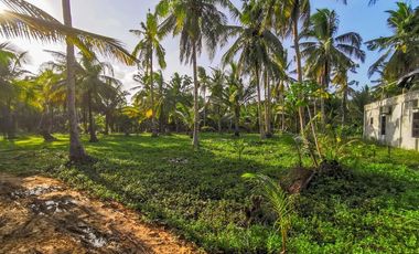 TITLED LOT - CATANGNAN, GENERAL LUNA, SIARGAO ISLAND