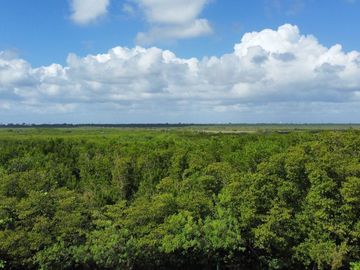 Strela Puerto Morelos | Departamentos en Venta de 3 Recamaras | Vista al Mar