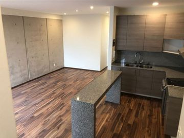 PENT HOUSE EN VENTA CON ROOF PRIVADO