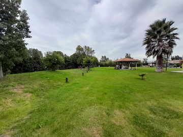 GRAN CASA EN PARCELA CON PISCINA Y JARDIN FORMADO
