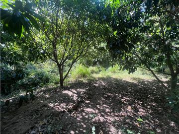 SE VENDE FINCA DE 1 HA EN EL CORREGIMIENTO DE BONDA , SANTA MARTA