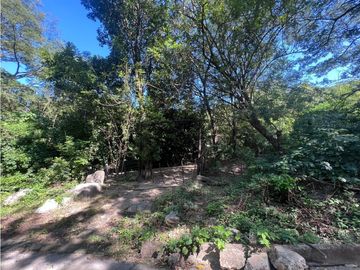 SE VENDE FINCA DE 1 HA EN EL CORREGIMIENTO DE BONDA , SANTA MARTA