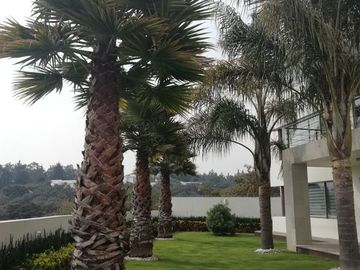 Casa en venta en Zona Esmeralda