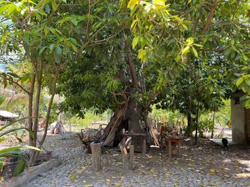 Rancho pequeño, cerca de la carretera principal