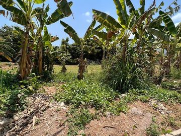 Rancho pequeño, cerca de la carretera principal