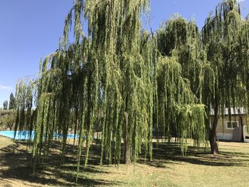 FINCA DE 4,7 HECTAREAS CON CASAS