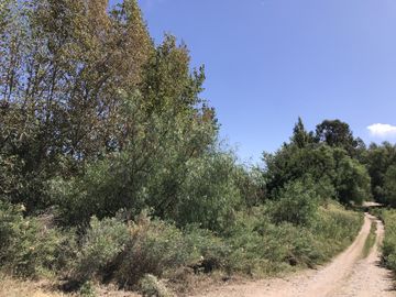 FINCA DE 4,7 HECTAREAS CON CASAS