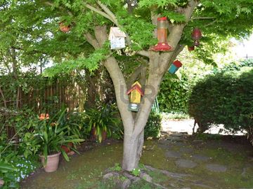 Venta Casa 6D 5B 6E, Villa San Pedro