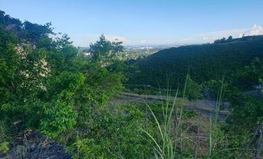 248 Sqm Subdivision Lot for Sale in ASPEN HEIGHTS CONSOLACION Cebu with Scenic Sea and Mountain Views