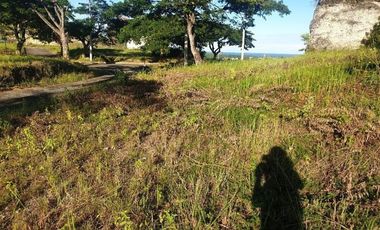 248 Sqm Subdivision Lot for Sale in ASPEN HEIGHTS CONSOLACION Cebu with Scenic Sea and Mountain Views