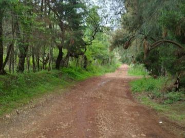 Terreno en venta en pontezuelas