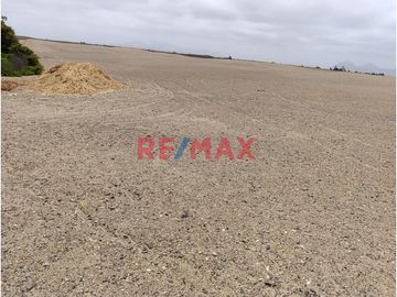 🌟 ¡Oportunidad Única para Inversores y Desarrolladores! 🌟

Descubre el potencial de este amplio terreno situado en la codiciada zona de FUNDO PANCAL