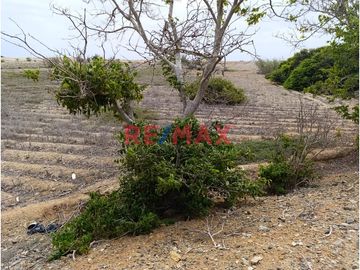 🌟 ¡Oportunidad Única para Inversores y Desarrolladores! 🌟

Descubre el potencial de este amplio terreno situado en la codiciada zona de FUNDO PANCAL