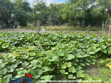 !!! URGE VENDER !!! Quinta Venta en las Adjuntas Bugambilias  Cadereyta NL