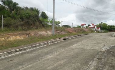 204 Sqm Overlooking Lot for Sale near Talamban Cebu City with Mountain View