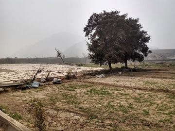 Terreno Industrial En Venta En Av. Cajamarquilla