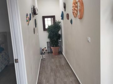 Casa de una planta en Queretaro.