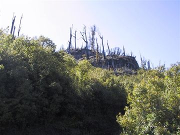 Parcela con vista privilegiada al Lago Riñihue