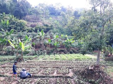 Kavling Siap Bangun Daerah Bandung Utara Cocok Untuk Investa