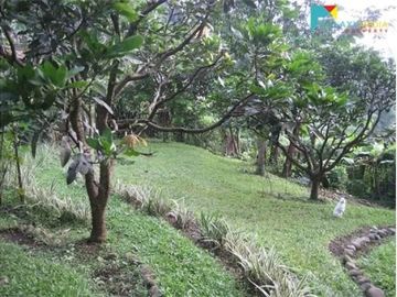 Rumah design joglo murah dan terawat di dago bandung
