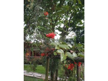 VENTA CASA CAMPESTRE C.Cerrado SANTAGUEDA barat | Casas campestres