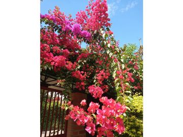 VENTA CASA CAMPESTRE C.Cerrado SANTAGUEDA barat | Casas campestres