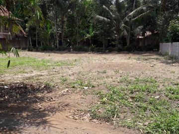 450 juta dalam cluster di Sleman