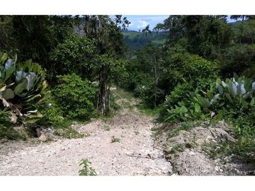 finca de venta  en Esmeraldas sitio san Mateo