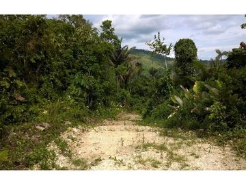 finca de venta  en Esmeraldas sitio san Mateo