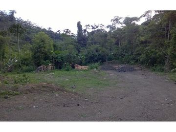 finca de venta  en Esmeraldas sitio san Mateo
