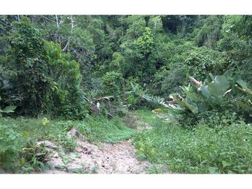 finca de venta  en Esmeraldas sitio san Mateo