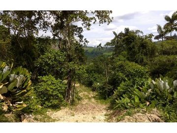 finca de venta  en Esmeraldas sitio san Mateo