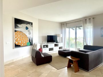 PH PUNTARENA - BUENAVENTURA - VENTA