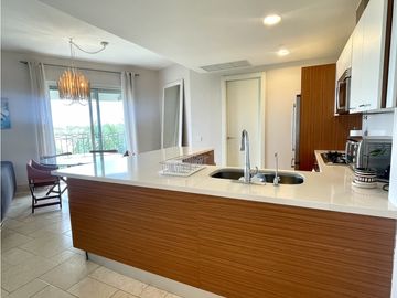 PH PUNTARENA - BUENAVENTURA - VENTA