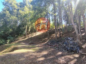 Parcela en venta en Temuco
