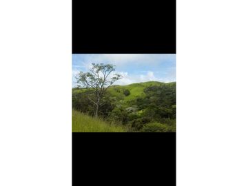 VENDO TITULADAS  39 HECTAREAS EN GUALACA